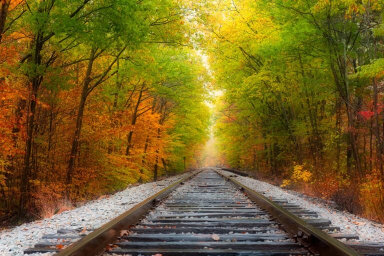 Train tracks through fall foliage